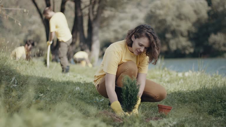 Best Lawn Drainage Solutions  in Canutillo, TX